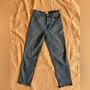 Everlane medium blue denim jeans size 27